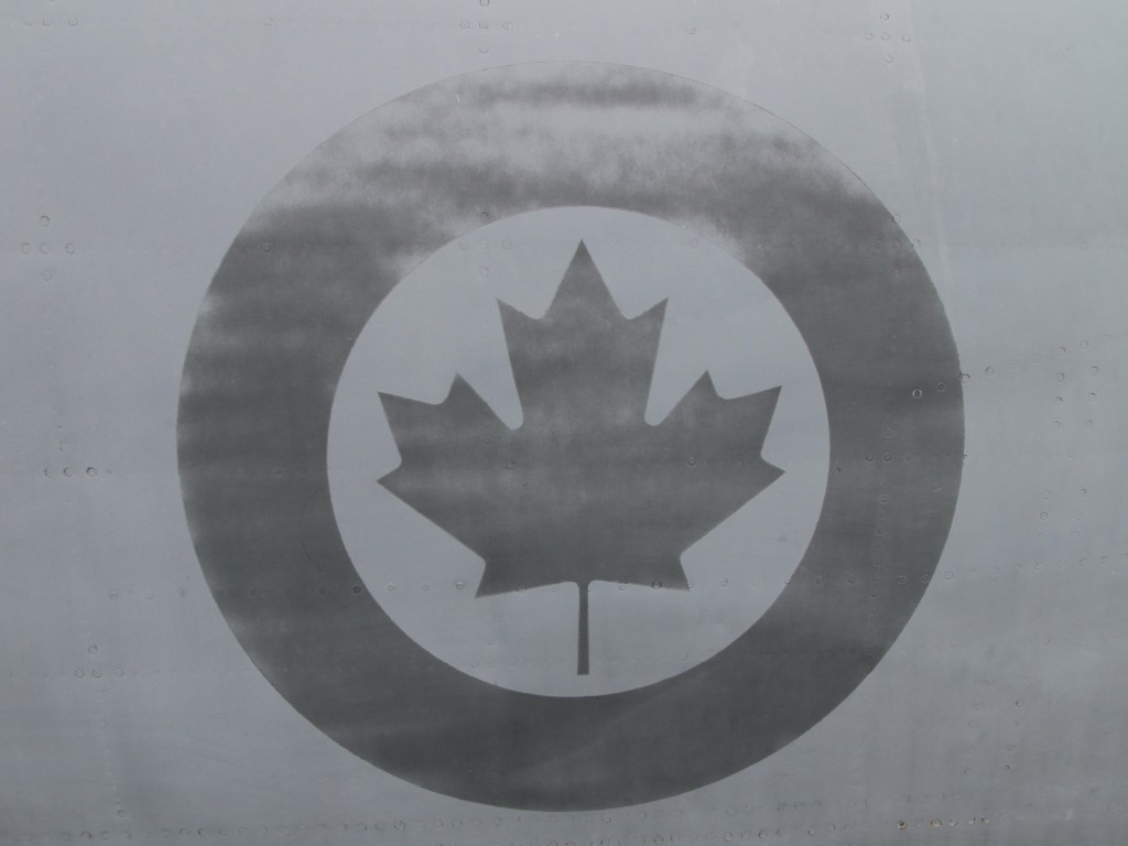 share.yellowducky.info